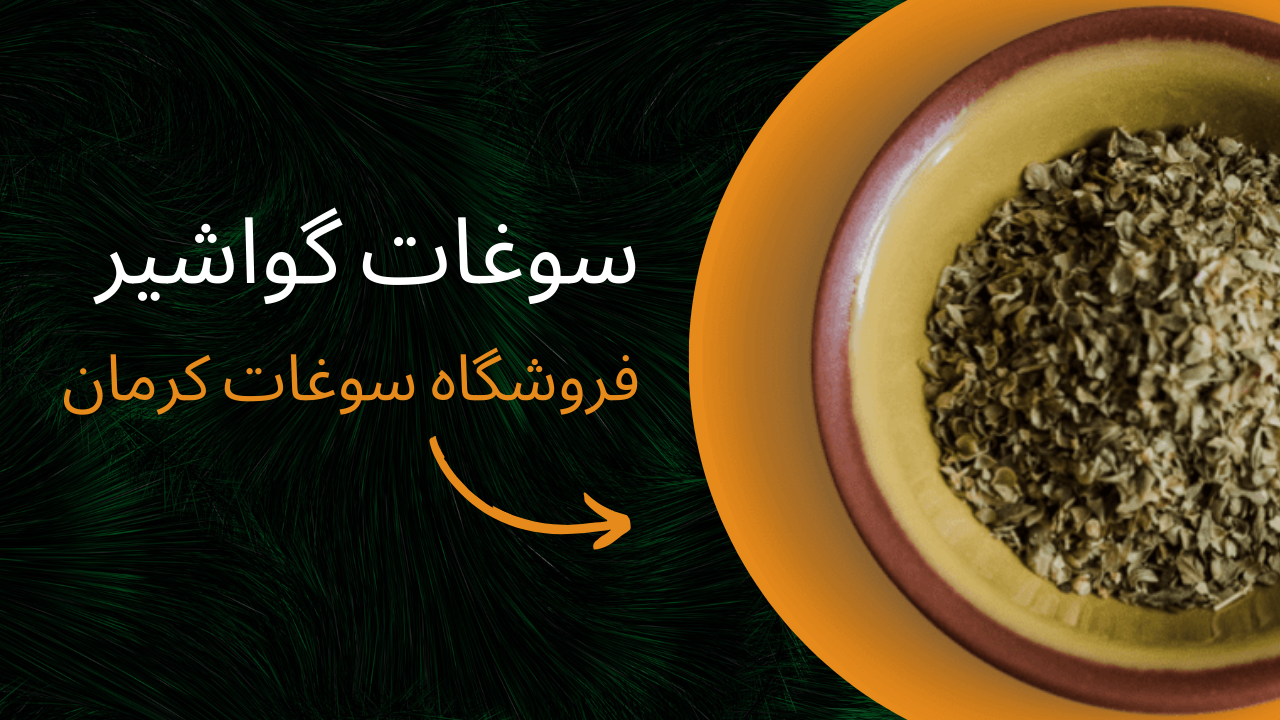 سوغات گواشیر | طراحی سایت کرمان